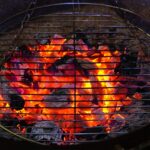 charcoal Barbeque at Tarasha Home Stay near pune